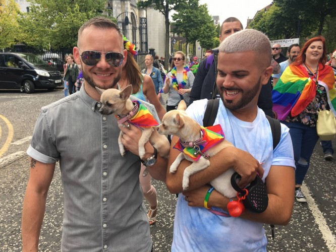 Some of the extremely cute #DogsOfPride