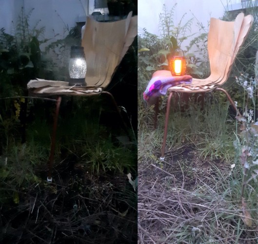 Photo of a weather beaten chair I rescued for this concept