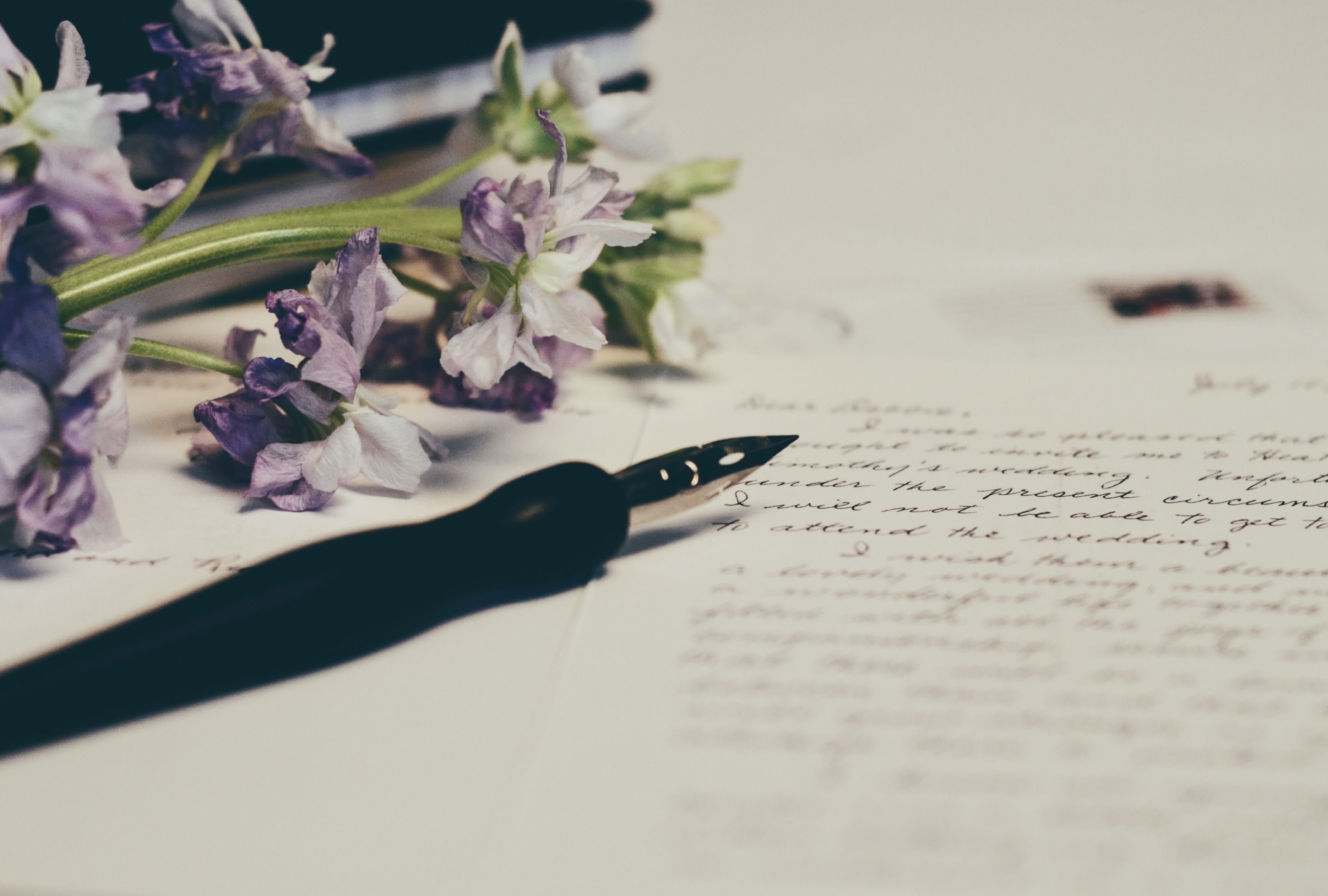 Will Photo by Debby Hudson on Unsplash